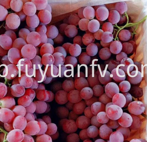 fresh grapes